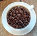 office100-beans.jpg